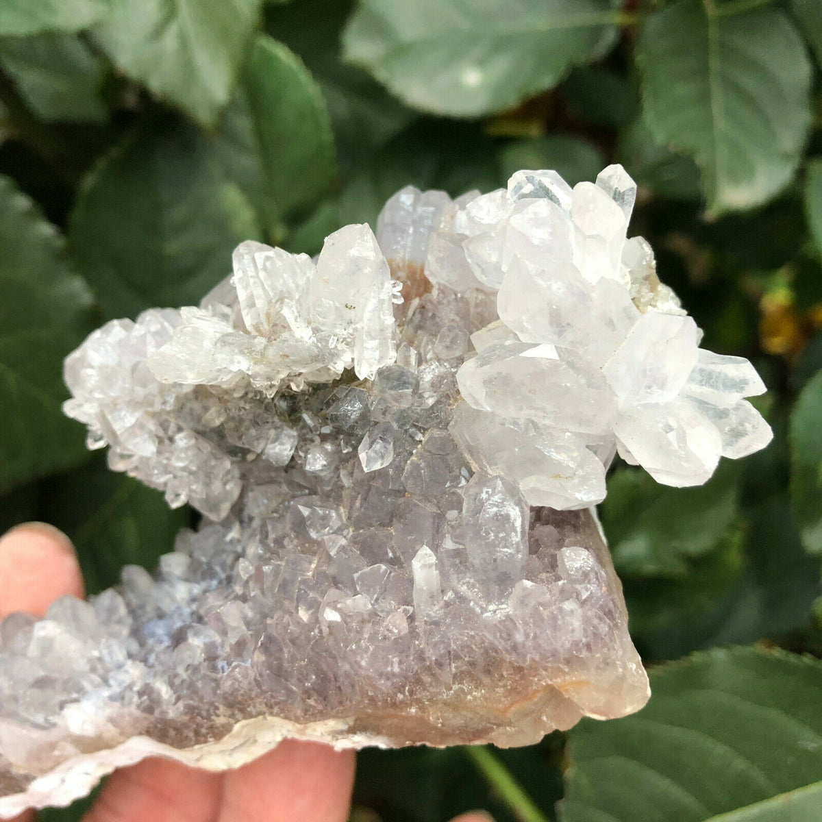 Natural Quartz &amp; Amethyst Cluster - The Spirit of Life
