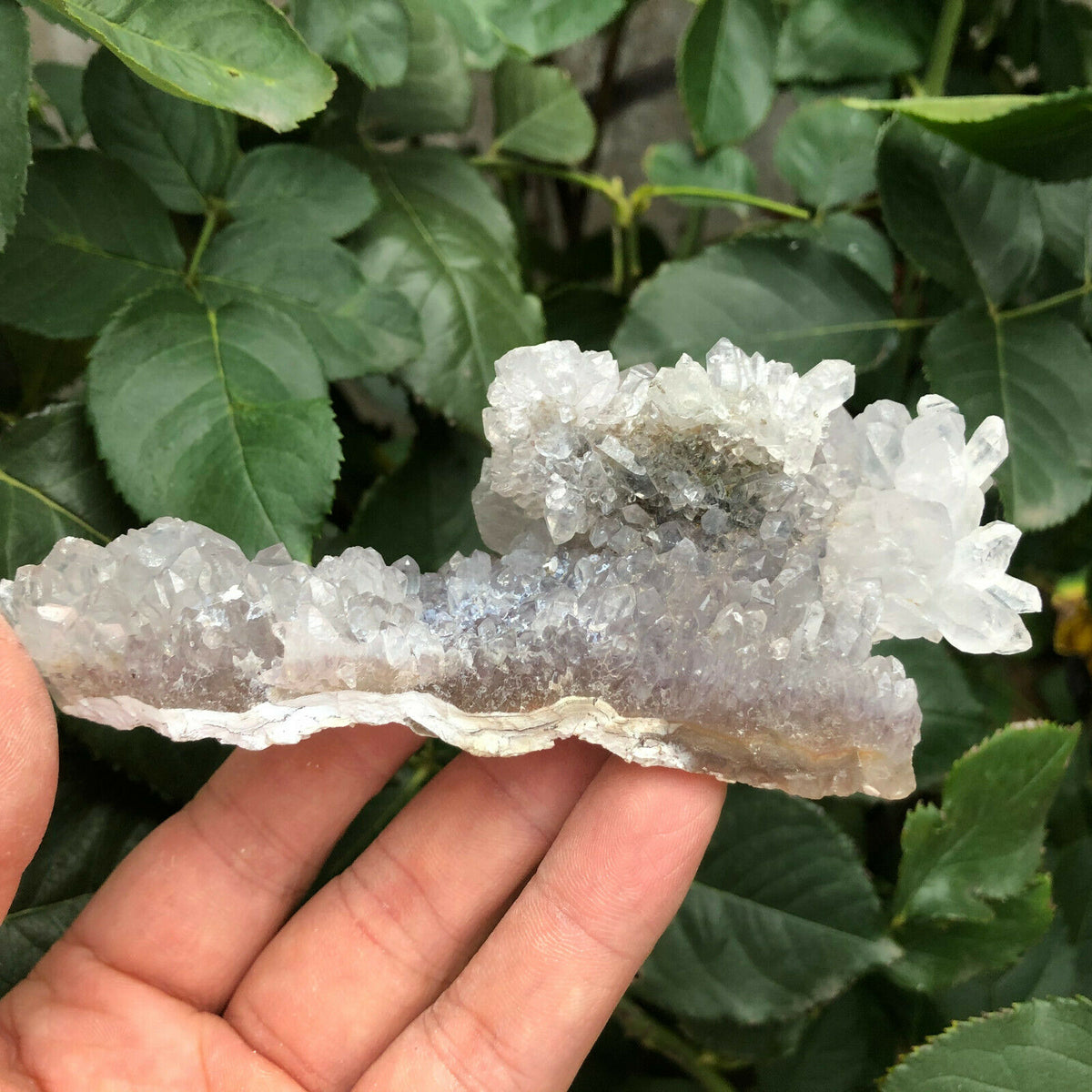 Natural Quartz &amp; Amethyst Cluster - The Spirit of Life