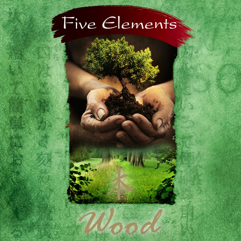Five Elements Wood Incense - The Spirit of Life